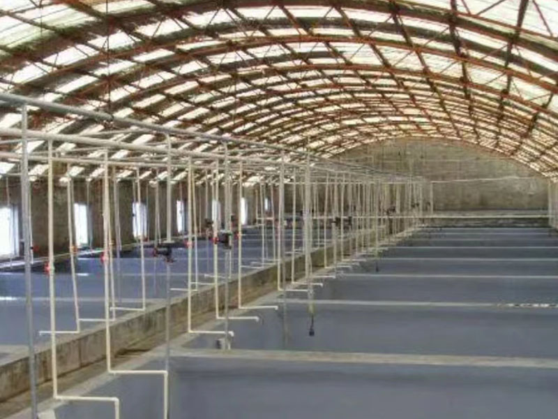 灰色水性養殖漆