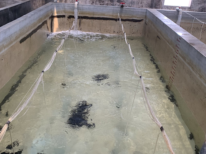 灰色水性養殖漆