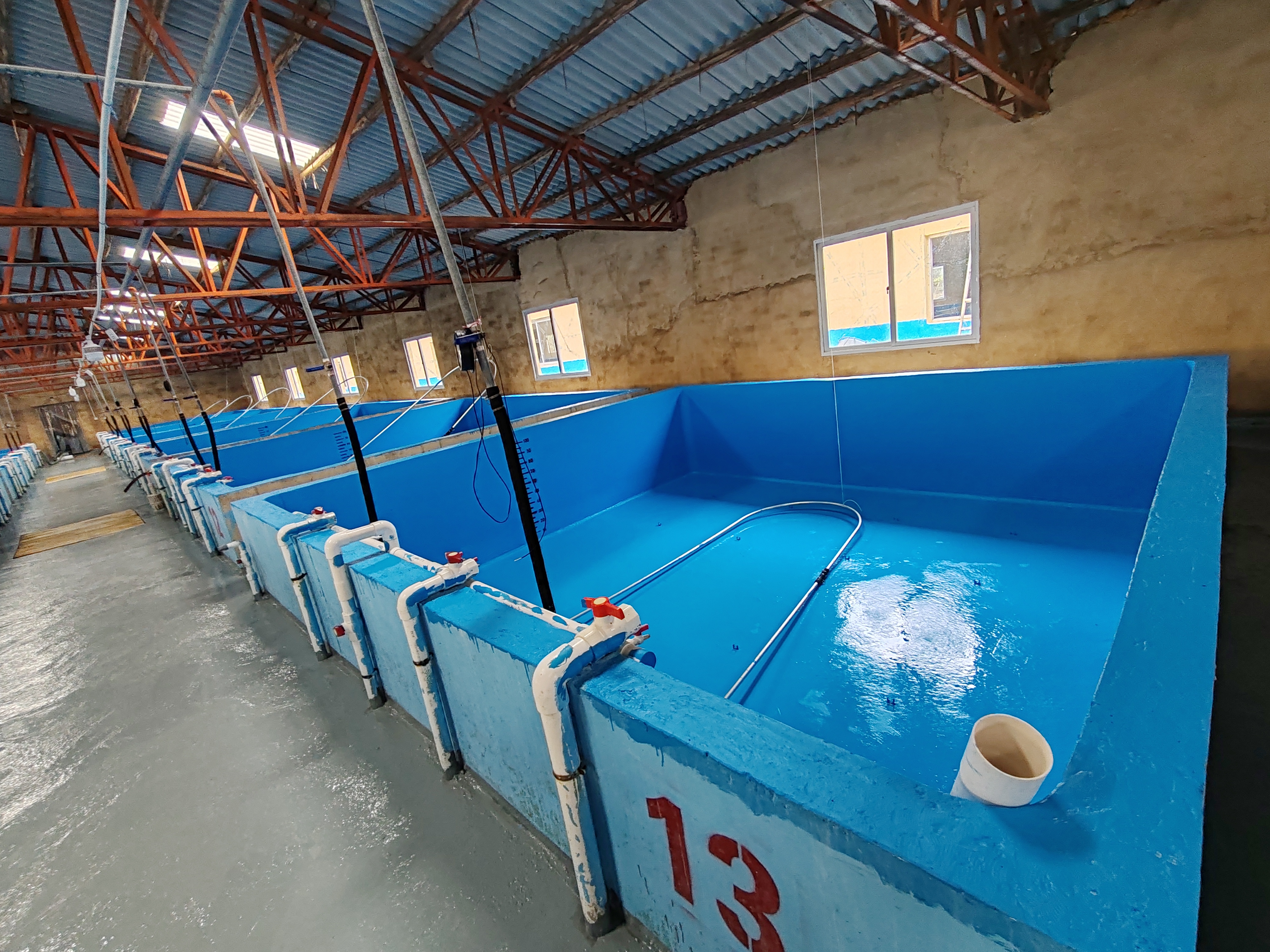 水性養殖漆施工案例