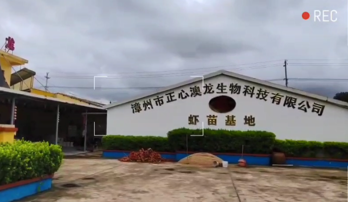 養殖漆案例視頻